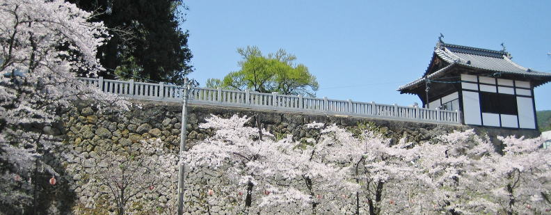 �k���ω��̐Ί_