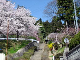 �Q���e�̍��͖��J