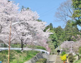 �Ԑ���̍��̐Βi