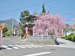 �n�����̘Z�p��