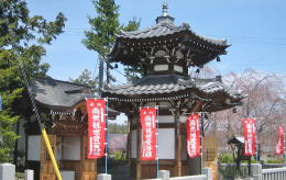 �t�̒n����