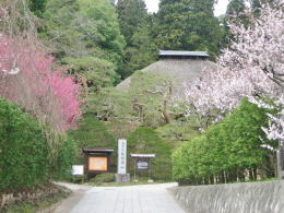 �Βi��o��Ɣ~�̉Ԑ���