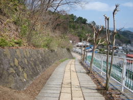 �R���̏��a