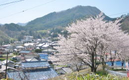 ���䂩��̓W�]