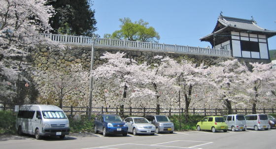 �k���ω��̉��̒��ԏ�