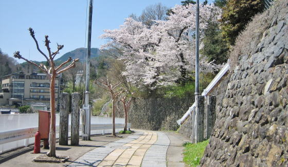 �R���̏��a