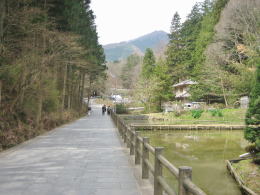 ���y���̎Q��