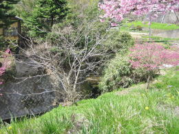 �����𗬂�铒��