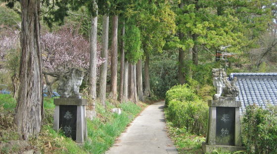 �_�Ђ̎Q���̐�����