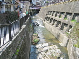 �J�����̏��a