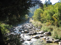 ����炬��