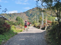 ���������y���ސl����