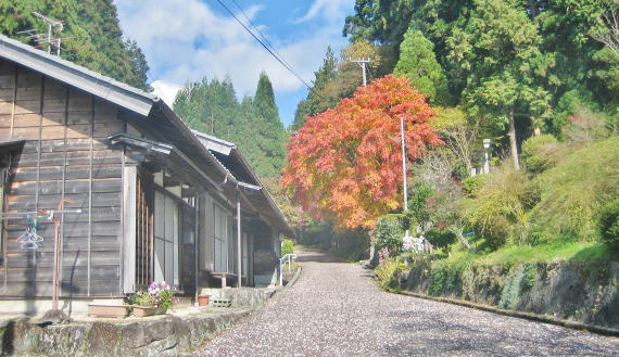 ���̏W���̂͂���