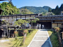 �{�w�i�����فj