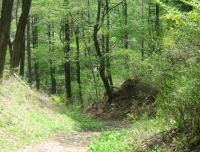 ���z���̓�