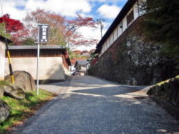 �����e���i