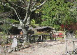 ��̔Ȃɂ��鐅�ԏ���