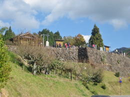 �w��̓W�]��