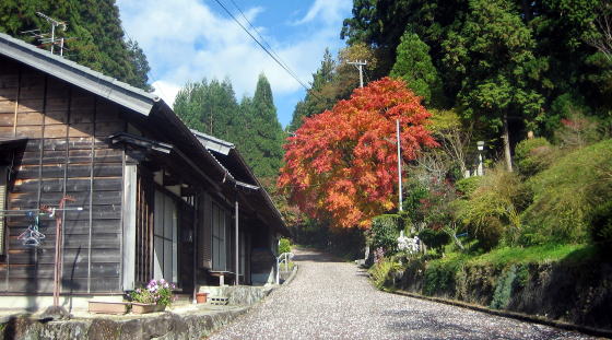 ���̏W���̂͂���