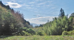 ��������̒��]