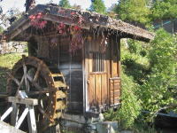 ����̐��ԏ���