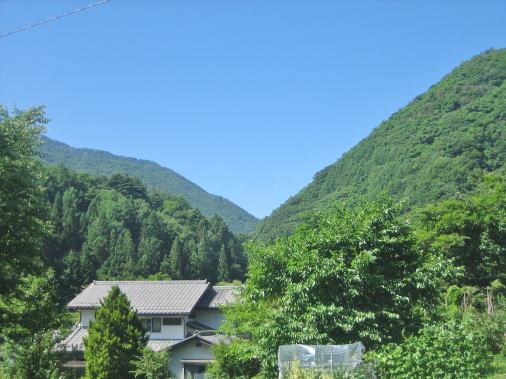 �ѐ�t�߂̖ؑ\�J