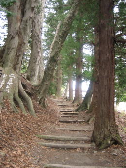 �[���̕��i