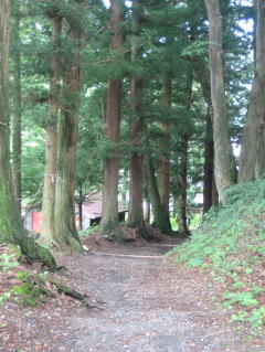 �����؂Ɉ͂܂ꂽ�R��