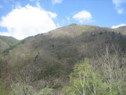 �_���Ή����̔�����