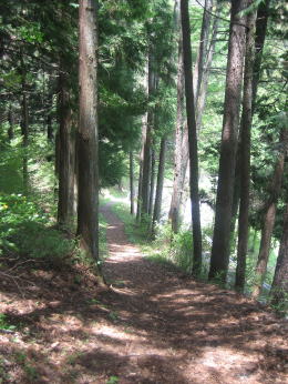 �����؂̏��a