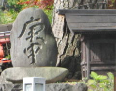 ���̍����̍M�\��