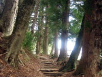 �����̖ؑ\�H�̎p