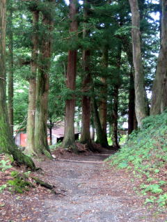 �R���̐�����