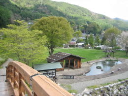 ���̌������͌���