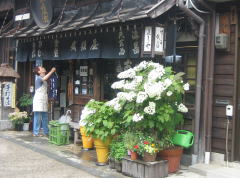 �����F�̉�