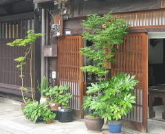 �S�䂩���A��