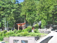 �����ƞe�`