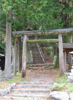 �_���{����