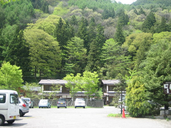 �X�ɔ���R��