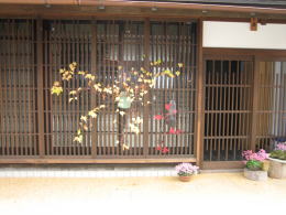 �i�q�ɐ��ȑ���