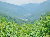 �ؑ\�J���i