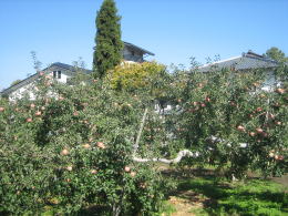 �����S��