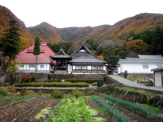 �⏼�@�̖{���ƌɗ�