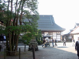 ���T���Ƌ����̗l�q