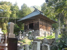 ���������̗�_