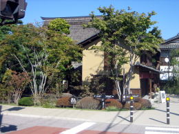 �X�̃e���X���I�[�v���K�[�f��