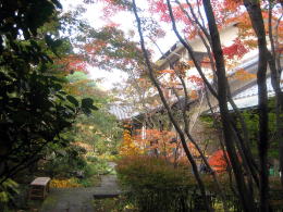 �I�[�v���K�[�f��