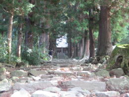 �Αg�݂̎Q��