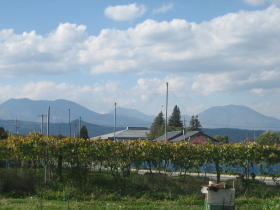 �ѓ�R�A���ȎR�A���P�R