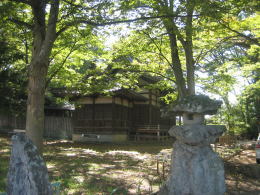 �����猩���Гa